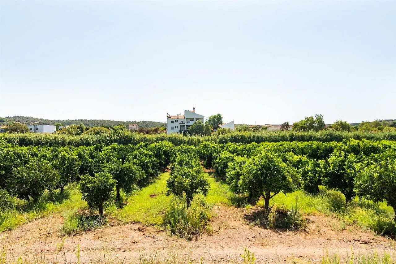Casa Da Costa - Exclusive Villa Silves 0*,